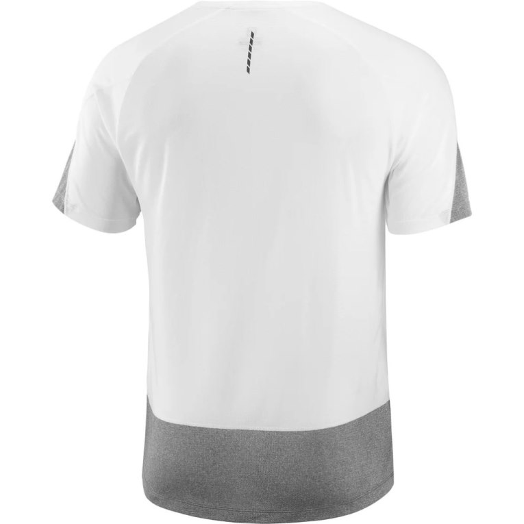 Camiseta Salomon Cross Run Curta Sleeve Masculino Branco Cinzentas | PT R40526